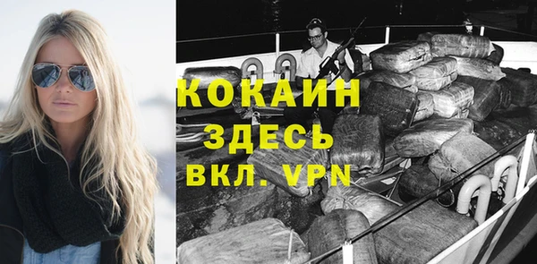 прущие грибы Алагир