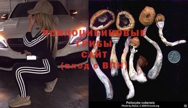 спайс Зеленокумск